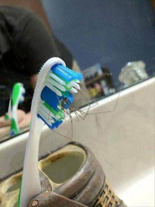 7. "Abi diş fırçamı uzatır mısın oradan?"