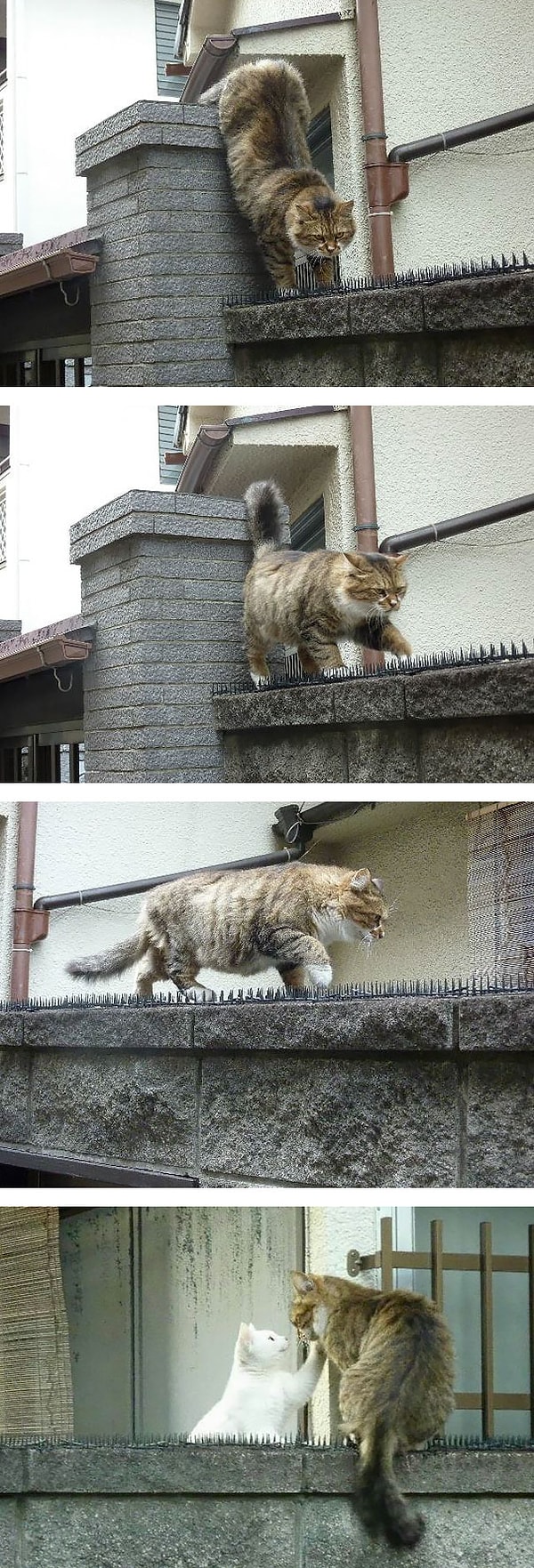 1. Любовь ранит