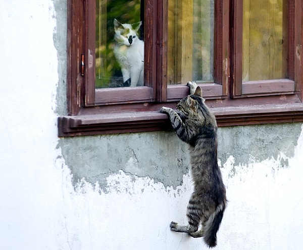 12. Тайное свидание