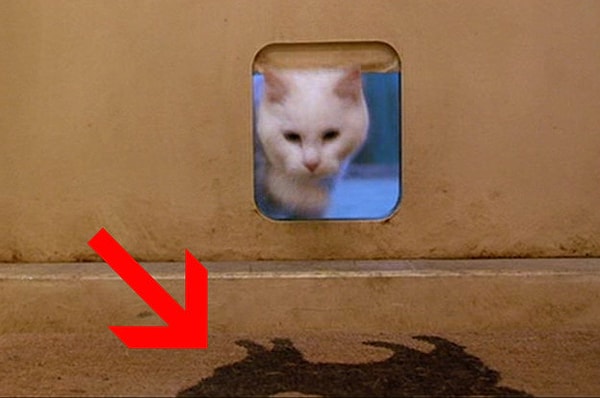 5. Нарисованный на двери коврик для кошки😼