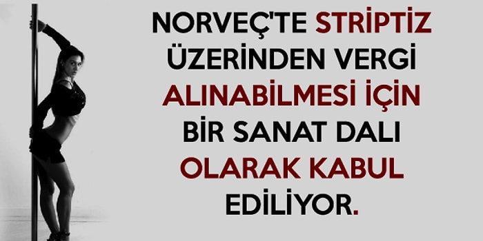 Yok Canım Ne Kıskanması? Mutluluklar Ülkesi Norveç Hakkında 16 İlginç Bilgi