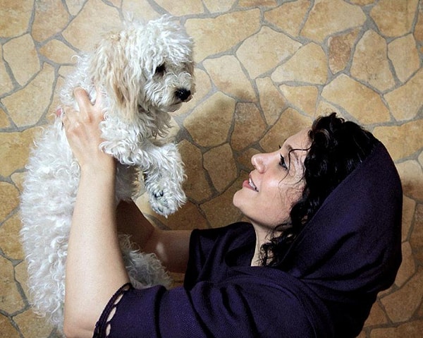 10. В Иране запрещается ходить с собакой по улицам!