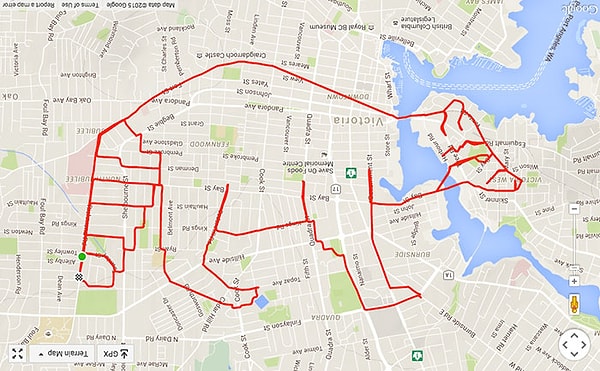 13. Енот (26,3 км, 1.07 часа езды)