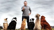 Köpeklere Fısıldayan Adam Cesar Millan'dan Altın Değerinde 12 Tavsiye