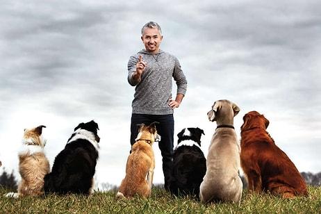 Köpeklere Fısıldayan Adam Cesar Millan'dan Altın Değerinde 12 Tavsiye