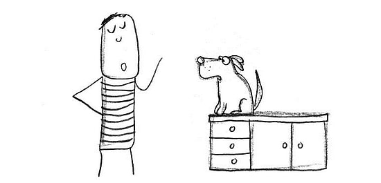 11 признаков того, что вы собачник до мозга костей