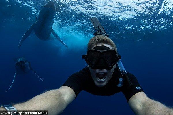 Yaklaşık 90 dakika boyunca kambur balinalarla vakit geçiren Craig, selfie çekmeyi de ihmal etmedi.