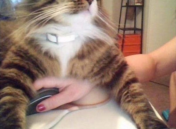 6. "Опять ты за свой компьютер..."