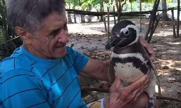 3. …и он возвращался вновь…и вновь…