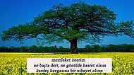 Türkiye'de Yaşayanların Hasretle Olmasını Beklediği 11 Şey