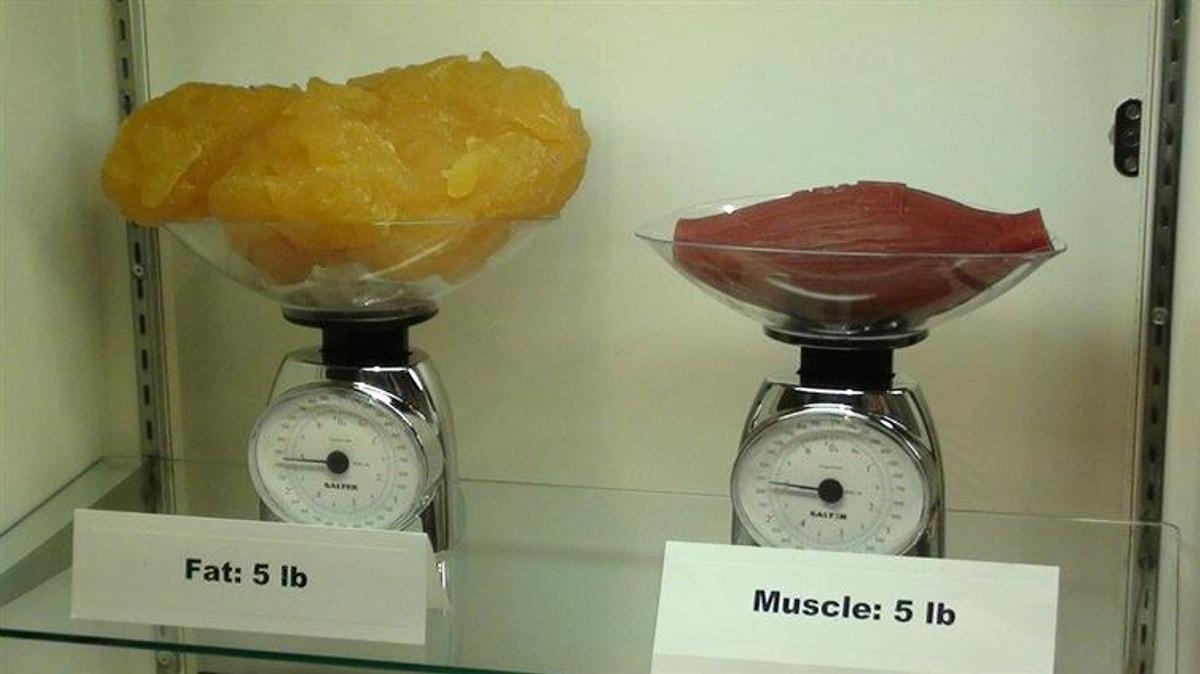два тела разного веса поставлены на стол по разному