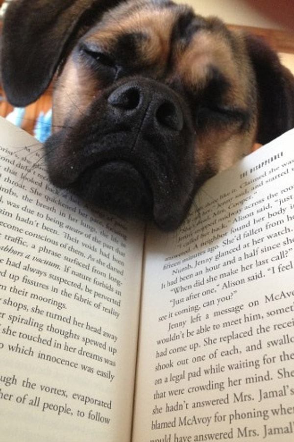 13. Мне скучноооо...