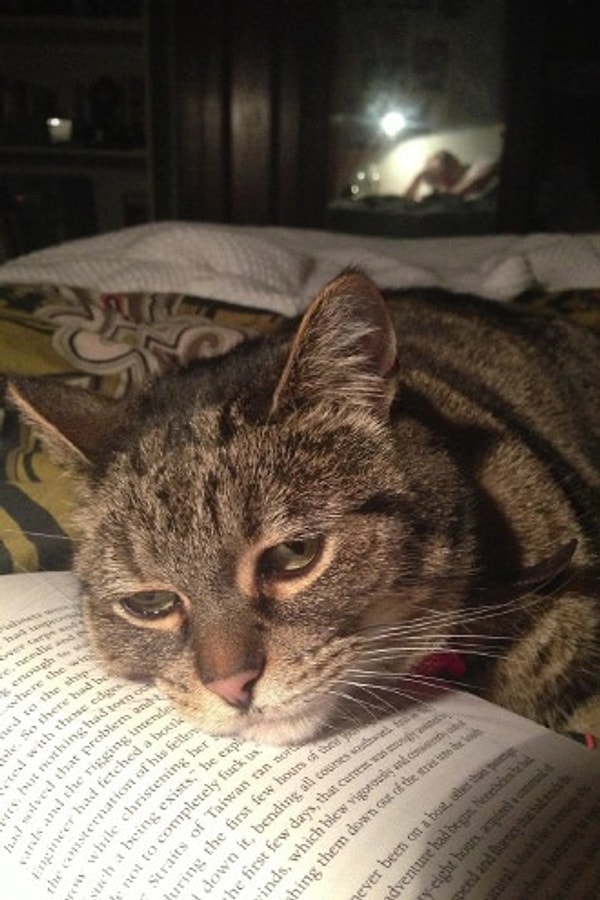 15. Я засыпаю, а ты?