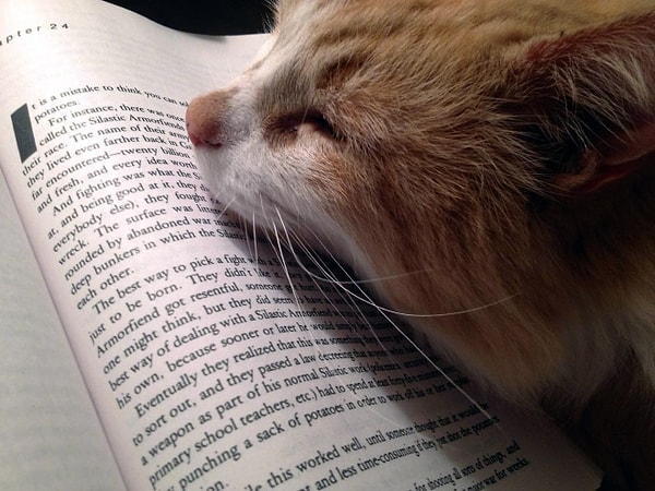 17. Неужели тебе меня не жалко :(