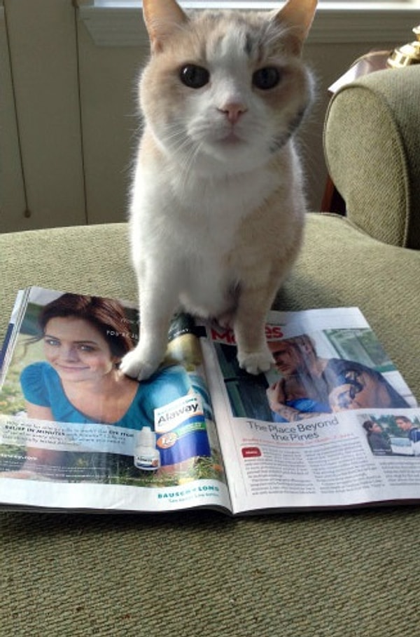 18. Разве я не говорил тебе, что в этом доме журналы под запретом!?