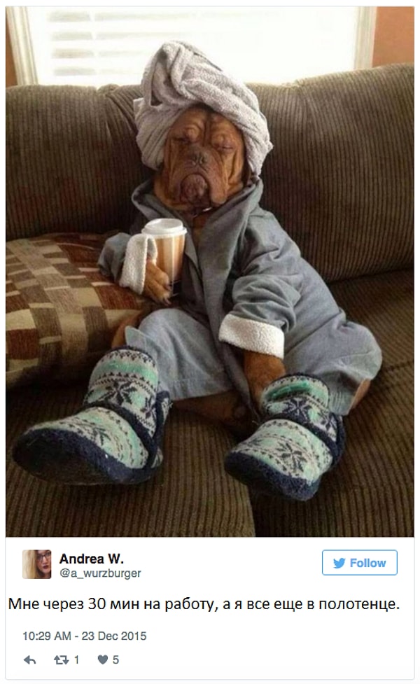 3. Но даже, если ты умудришься встать пораньше, тебя это не спасет: