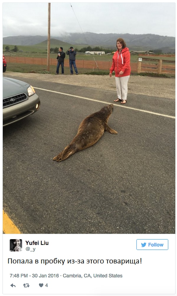 12. Иногда у тебя действительно есть серьезная причина для опоздания, но кто тебе поверит?