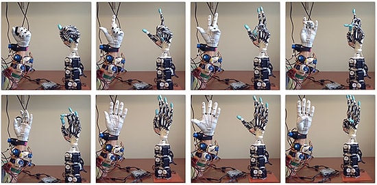Gerçek Bir İnsan Eline Benzeyen Antropomorfik Robot Eli
