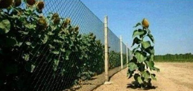 Bu Fotoğraf Testi Senin Diğer İnsanlardan Olan Farkını Ortaya Koyuyor!