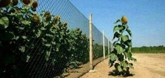 Bu Fotoğraf Testi Senin Diğer İnsanlardan Olan Farkını Ortaya Koyuyor!