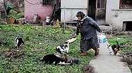 Sen Ne Güzel İnsansın: Baktığı Kediler Aç Kalmasın Diye Köyünden Ayrılmayan Münevver Nine!
