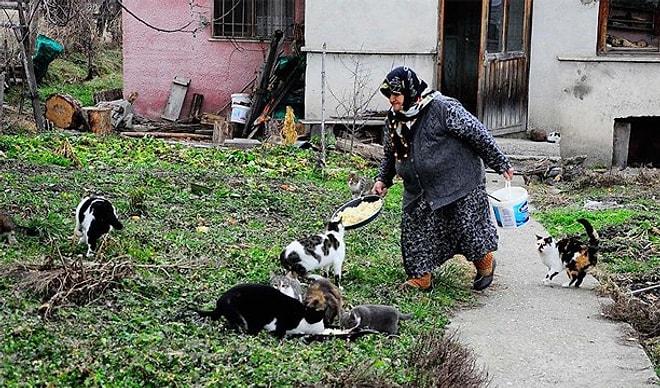 Sen Ne Güzel İnsansın: Baktığı Kediler Aç Kalmasın Diye Köyünden Ayrılmayan Münevver Nine!