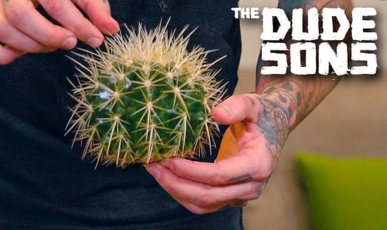 Çılgın Ekip Dude Sons'dan Çıplak Ayakla Kaktüs Sektirme Kapışması