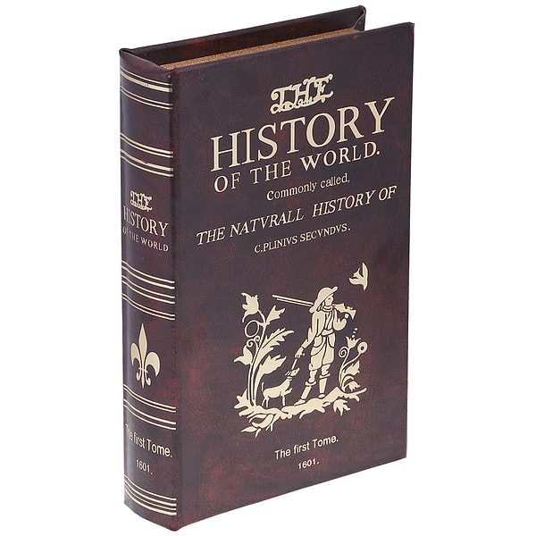 2. Книжка-сейф