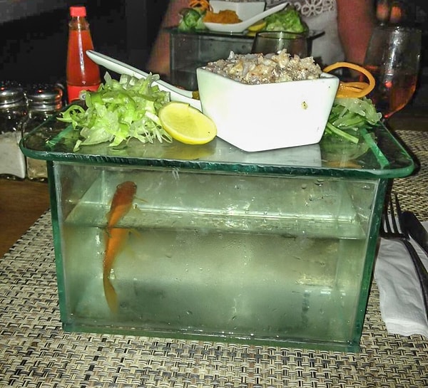 7. Аквариум...?!