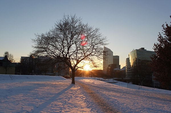 7. После истории пары Энни и Джима наверняка ваша вера в подобные письма, которые можно отправить путешествовать по морю без указания адресата, подросла :)