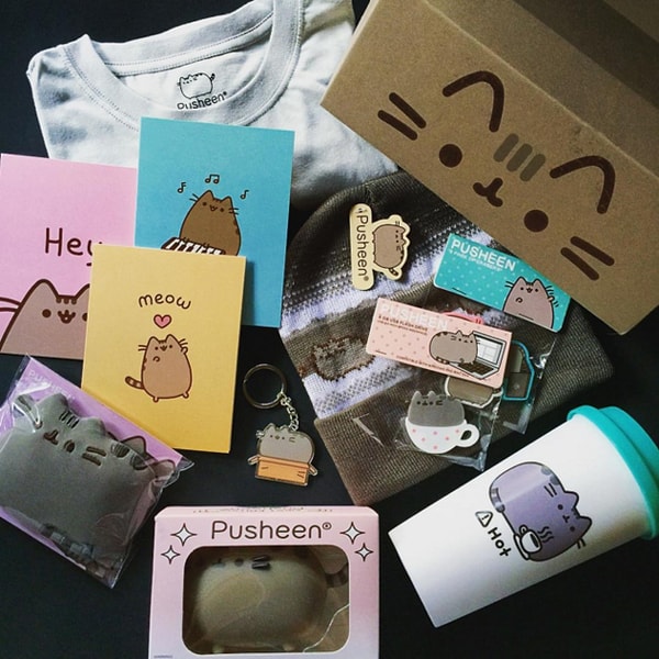 7. Pusheen Box