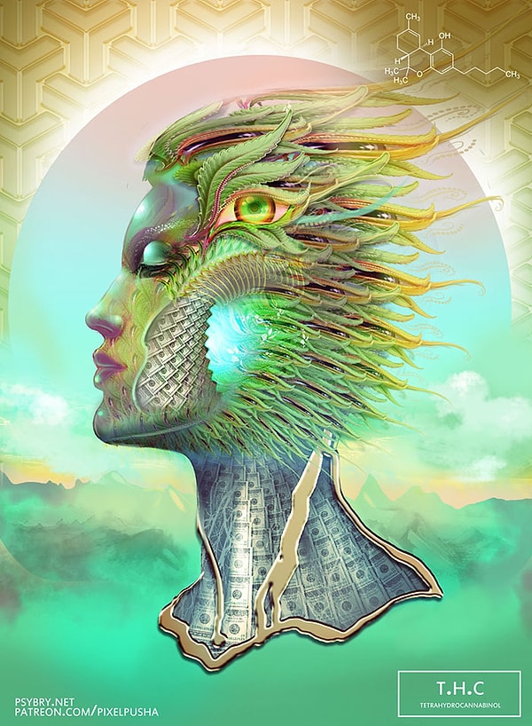 4 день: Марихуана