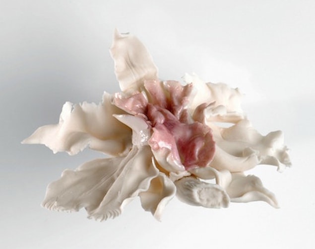 Venüsün Çiçeği, 2009