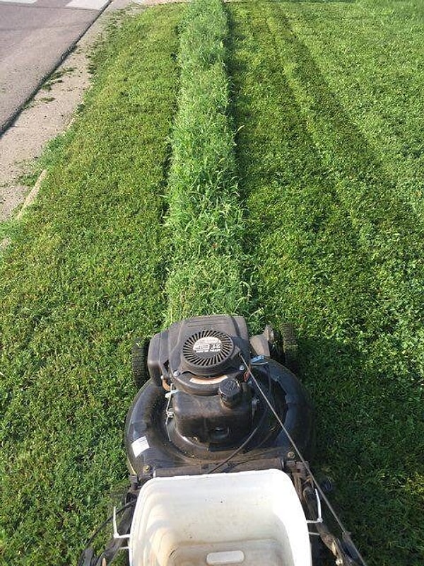 4. Осталась последняя