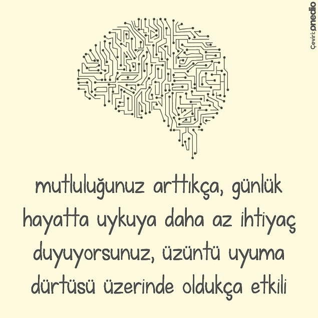 16.