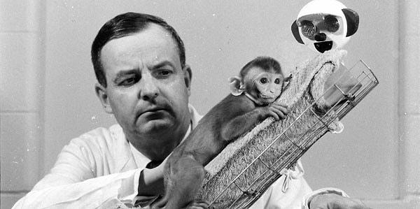 11. Sevgi üzerine araştırma yapmak isteyen Harry Harlow, bunun en iyi yolunun maymun yavrularını sevgiden mahrum bırakmak olduğunu düşündü.