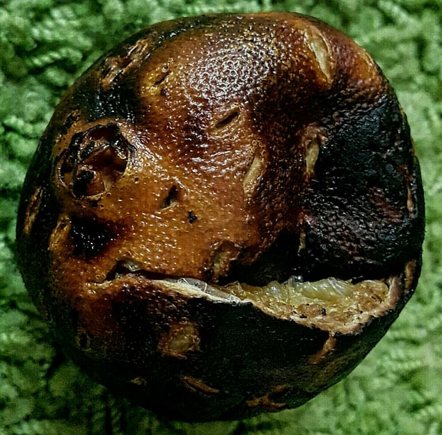 5. Kalorifer ve soba kurbanı portakal