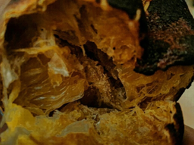 7. Portakal içi