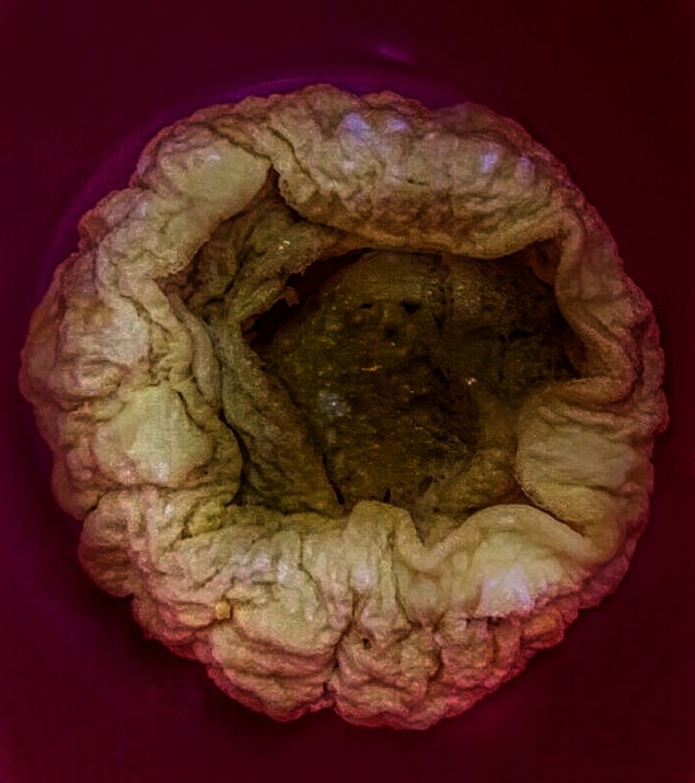 12. İçine kaçan omlet