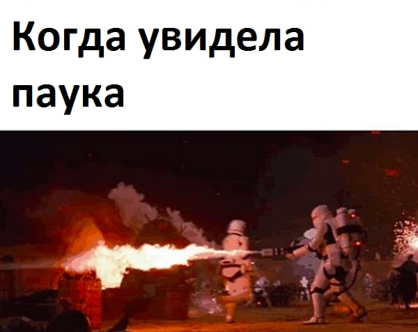 6. Когда некому помочь тебе с незваными гостями