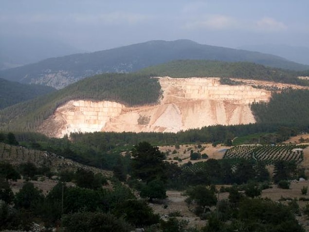Yanlış ağaçlar yazılmış