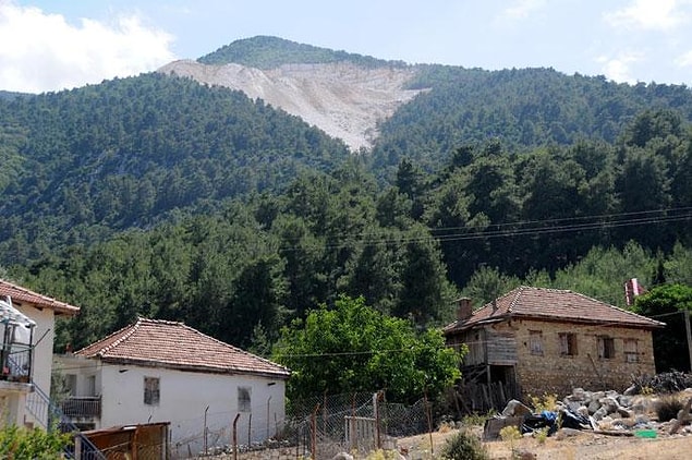 ”Yaban hayata etkileri olacaktır”
