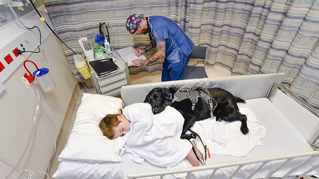 Mahe, otistik çocuklara eşlik edip onları rahatlatmak amacıyla özel olarak eğitilen bir köpek.