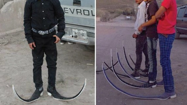 Elf Botları- Meksika