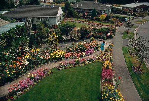 1. Christchurch, Yeni Zelanda'daki özel bahçelerin yukarıdan görünüşü. Ocak, 1972.