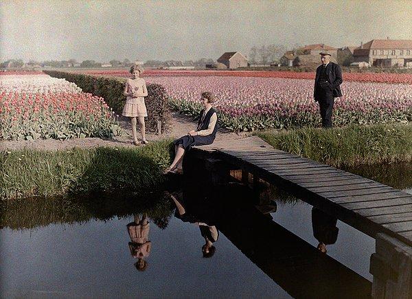 20. Bölge sakinleri, kanal boyunca uzanan lale tarlalarının kenarında. Haarlem, Hollanda. 1931.