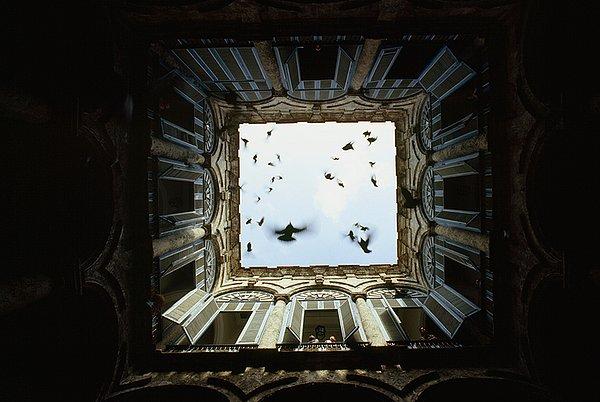 28. Etrafı kapalı bir avludan havalanan kuş sürüsü. La Habana Vieja, Küba. Aralık, 1987.