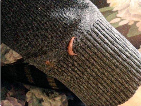 10. Никогда не знаешь наверняка, какашки это или шоколад