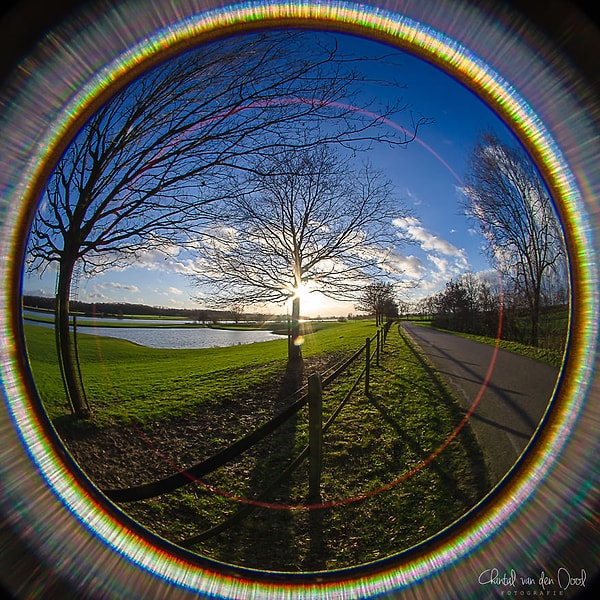 8. Голландские пейзажи