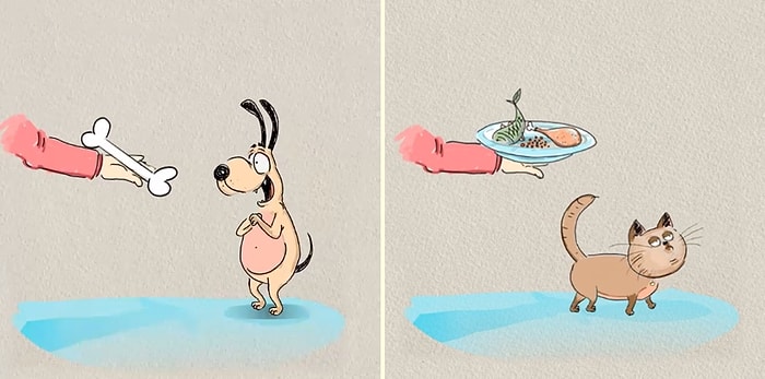 Yaramaz Kedilerin Dost Canlısı Köpeklerden 4 Farkı